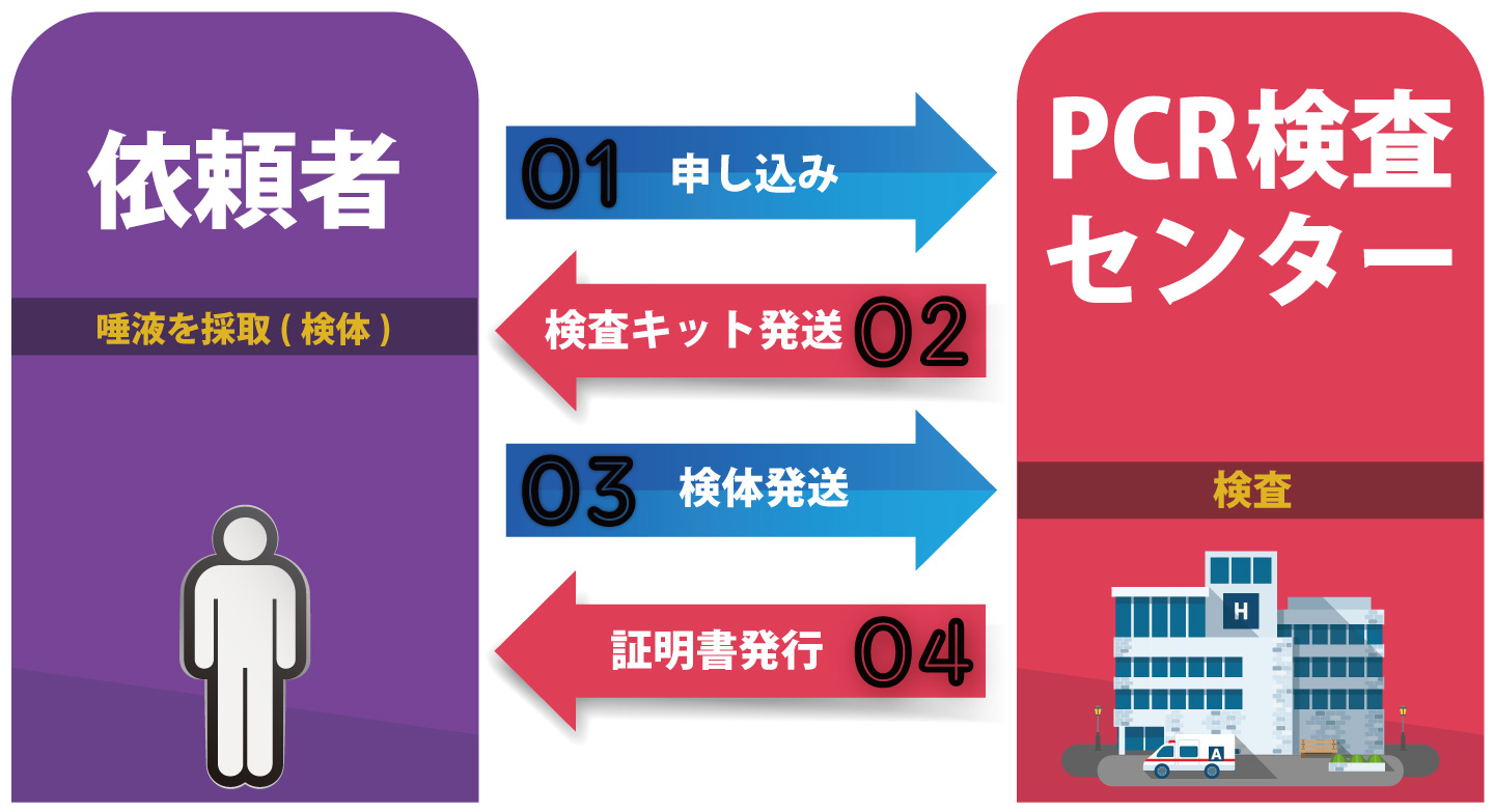 pcr検査から英文陰性証明書発行の流れ